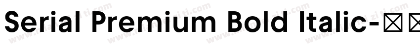 Serial Premium Bold Italic字体转换